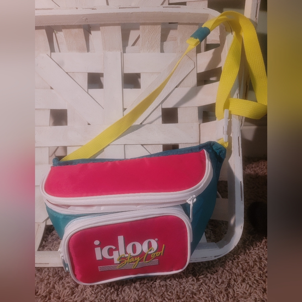Igloo Pink and Blue Cooler Bag